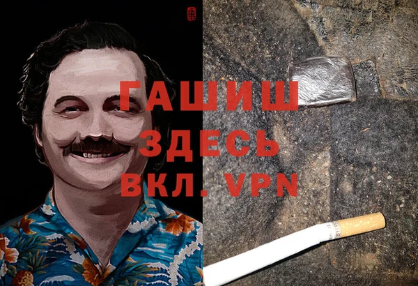 спиды Магас