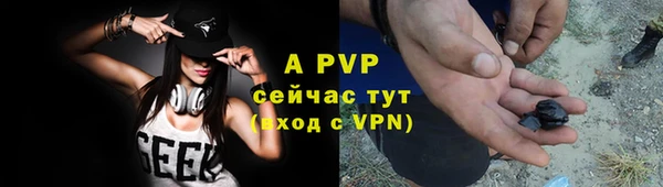 спиды Магас