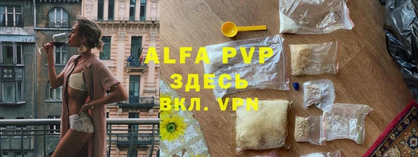 спиды Магас